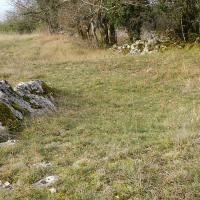 DSCN1902.jpg