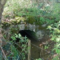 DSCN1828.jpg