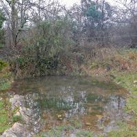 DSCN1569.jpg