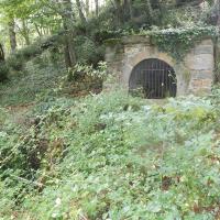 DSCN1811.jpg