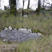 DSCN1885.jpg