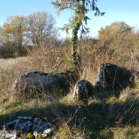 DSCN1529.jpg
