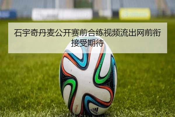 石宇奇丹麦公开赛前合练视频流出网前衔接受期待